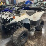 New Yamaha Grizzly 90 - Image 4