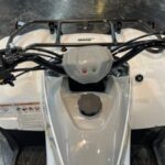 New Yamaha Grizzly 90 - Image 3