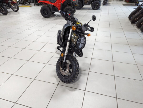 New Honda GROM TIMBROOK SIGNATURE SERIES - Image 2