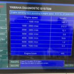Pair 2006 Yamaha F250 4-Stroke EFI 25” outboard-motors - Image 4