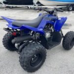 New 2024 Yamaha Raptor 110 - Image 3